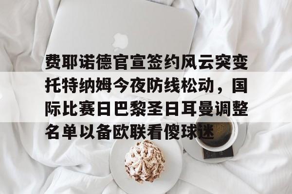 IM电竞-费耶诺德官宣签约风云突变托特纳姆今夜防线松动，国际比赛日巴黎圣日耳曼调整名单以备欧联看傻球迷的简单介绍